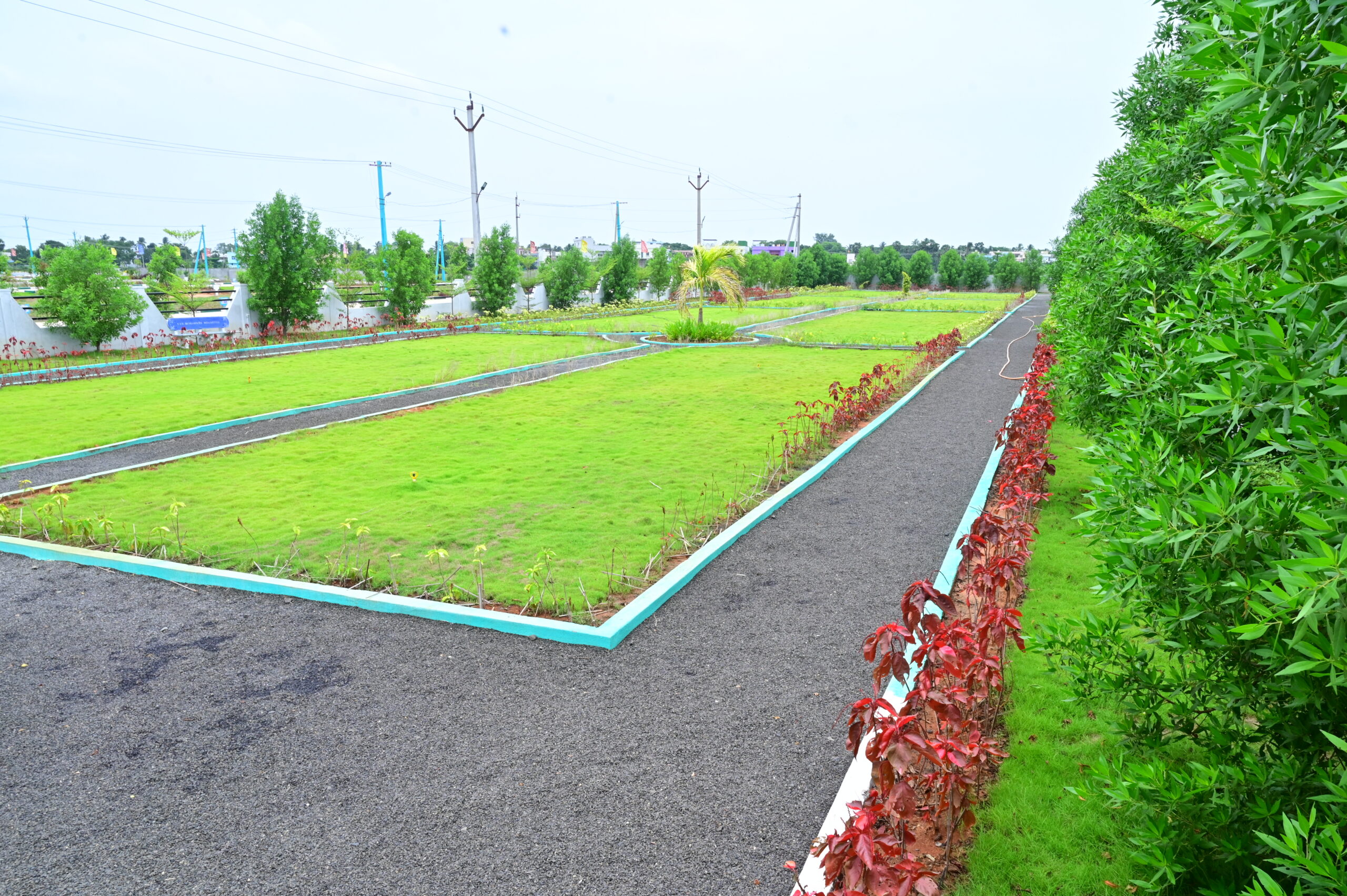 Fully Landscaped Park