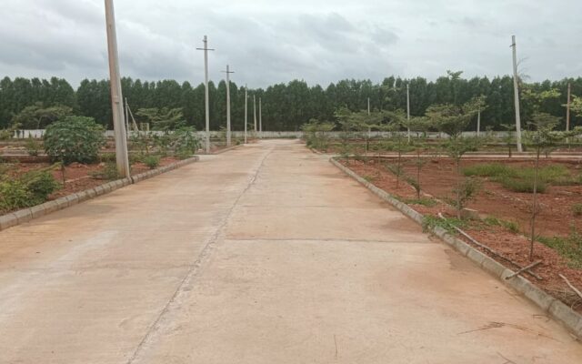 30FT Internal Roads