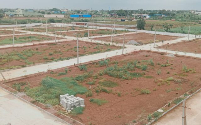 Layout Over View